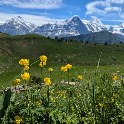 Jungfrauregion