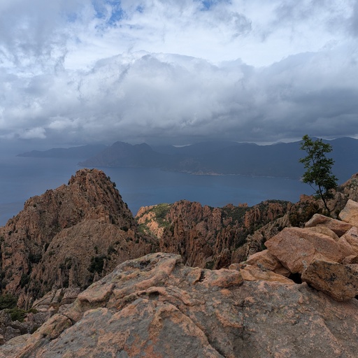 Corsica